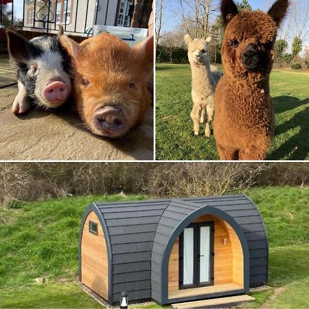 The Piggery Pod Hotel ซิททิงบอร์น ภายนอก รูปภาพ