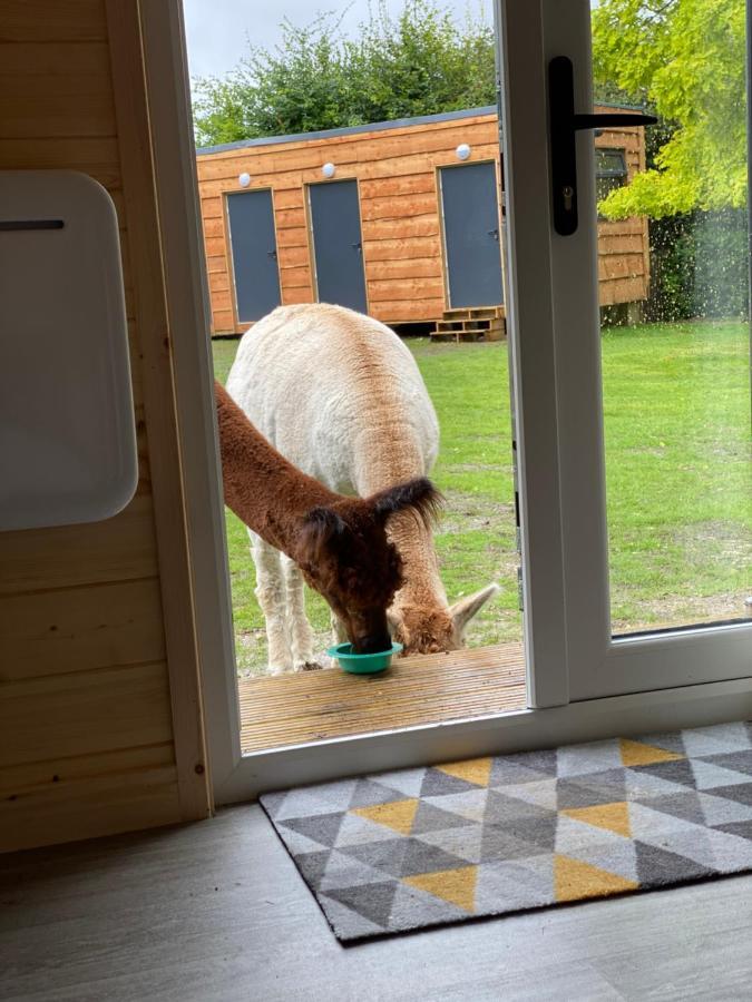 The Piggery Pod Hotel ซิททิงบอร์น ภายนอก รูปภาพ
