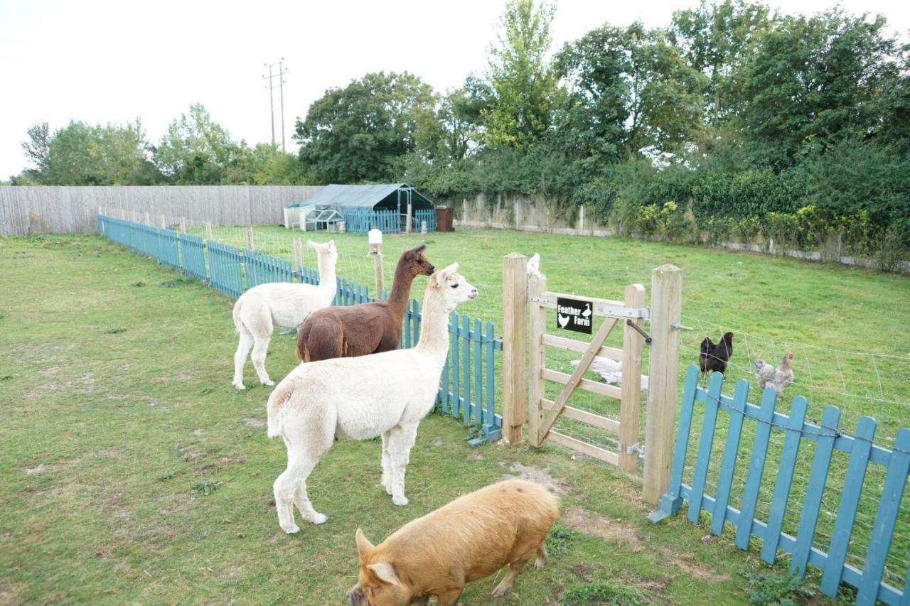 The Piggery Pod Hotel ซิททิงบอร์น ภายนอก รูปภาพ